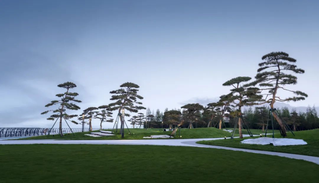 松林浪屿，海岸逐光丨青岛 · 云上观海-46