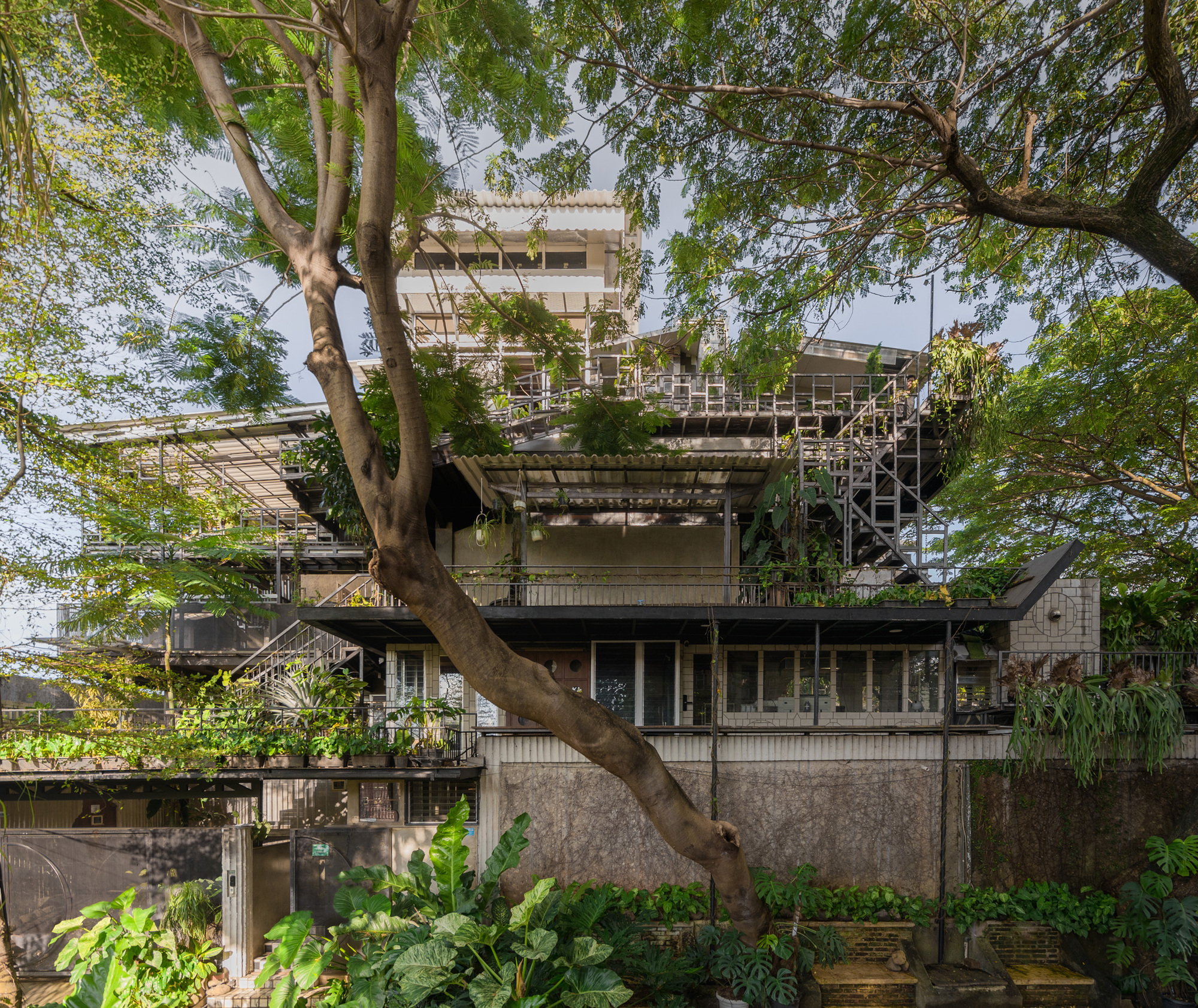 绿意盎然的别墅住宅兼工作室丨印度丨Realrich Architecture Workshop-51