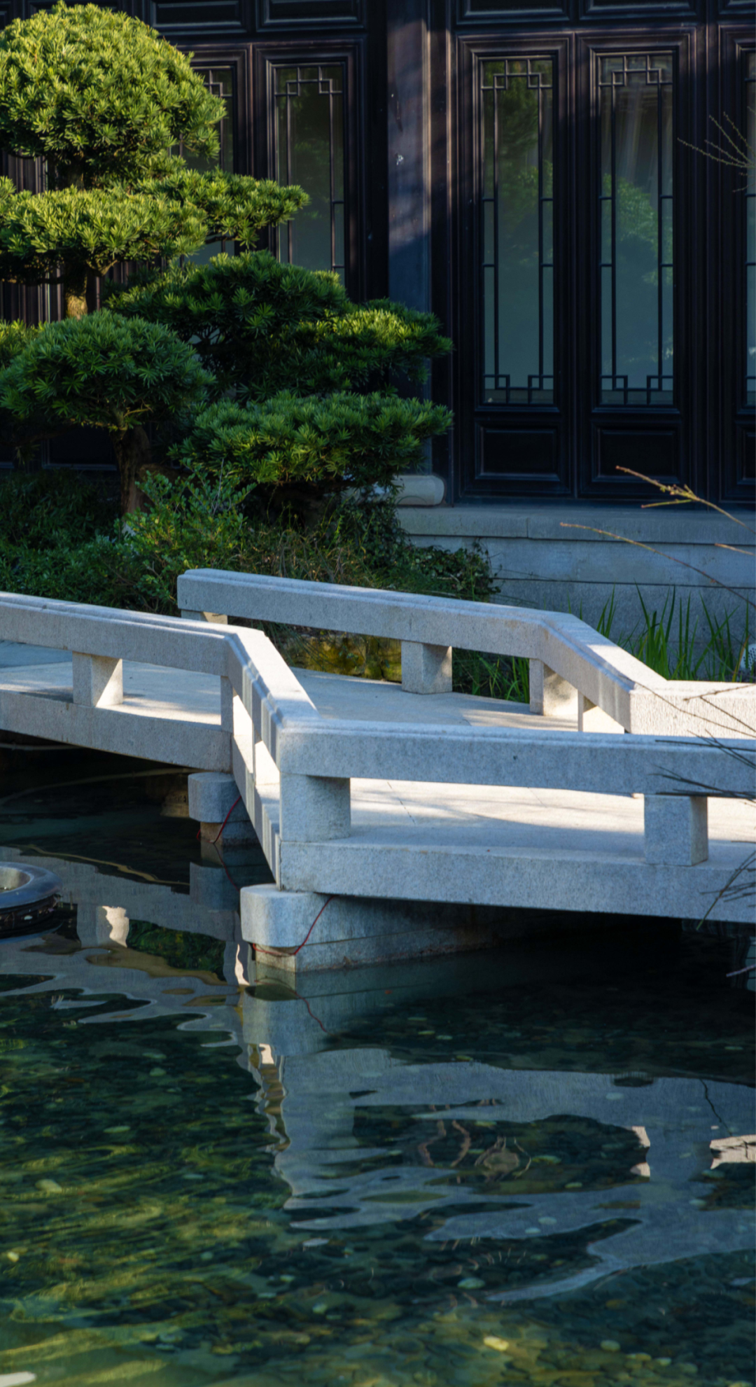 云栖玫瑰园丨中国杭州丨杭州云杉庭园设计工程有限公司-19