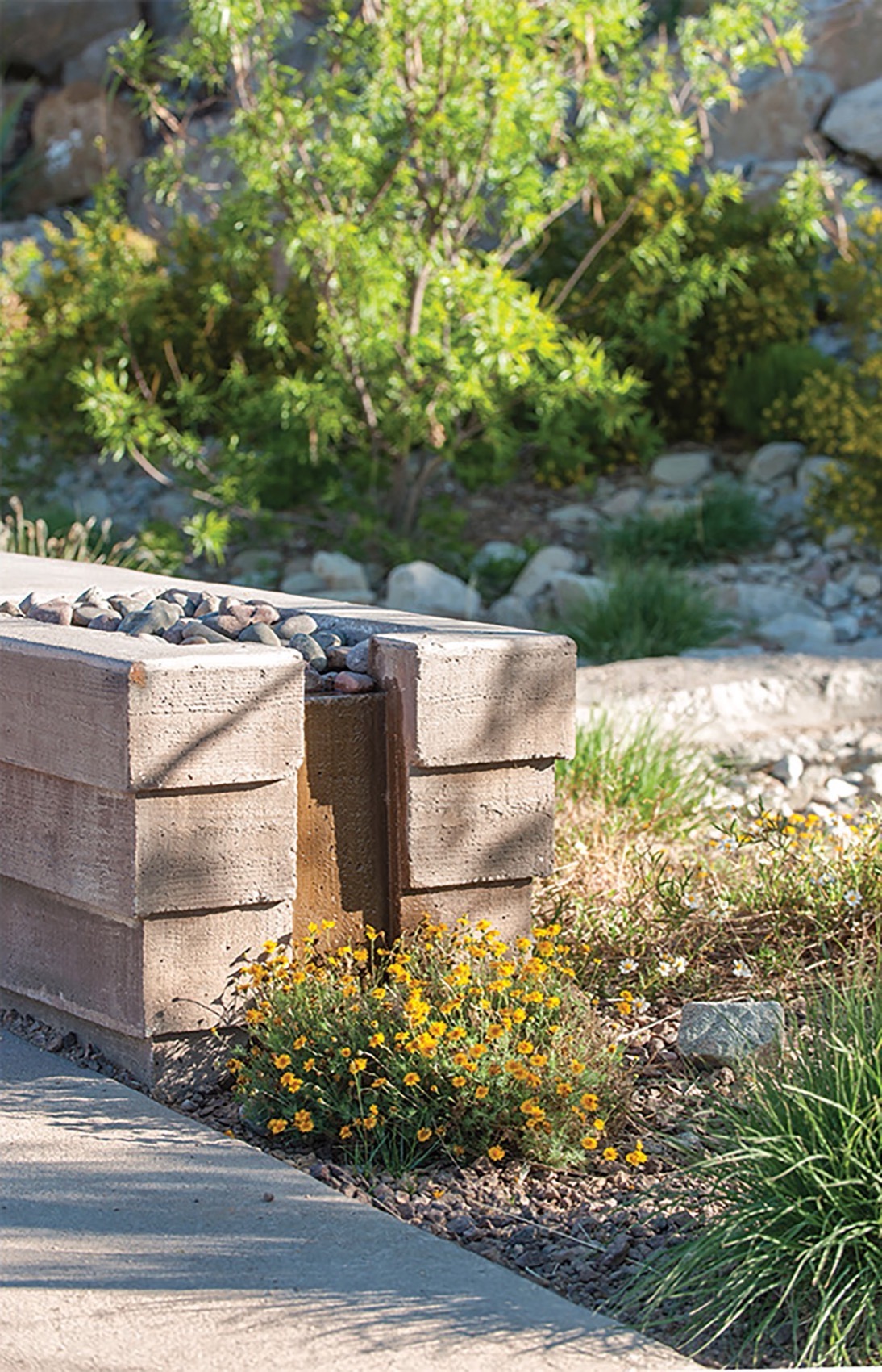 德克萨斯大学埃尔帕索分校改造丨美国埃尔帕索丨Ten Eyck Landscape Architects,Inc-27