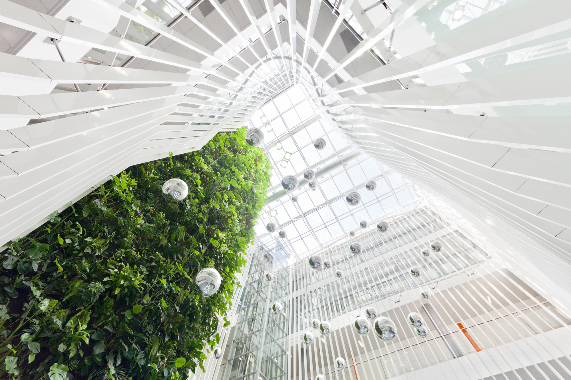 布拉格 KKCG 建筑室内设计 | 垂直花园与自然材料的融合-4