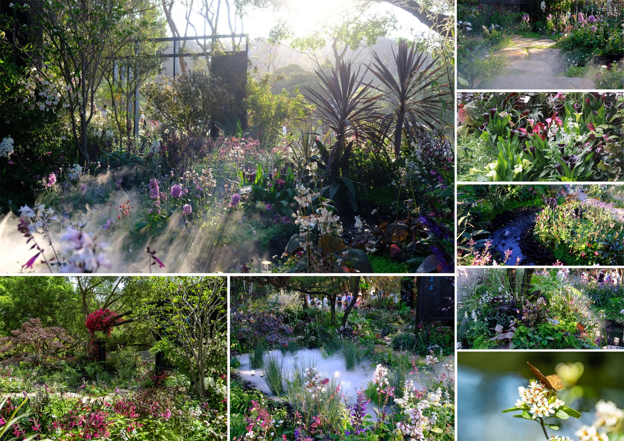 2024粤港澳大湾区花展宝安区城市花园·绮云书香丨中国深圳丨林俊英景观工作室&深圳市造源景观旅游规划设计有限公司-83