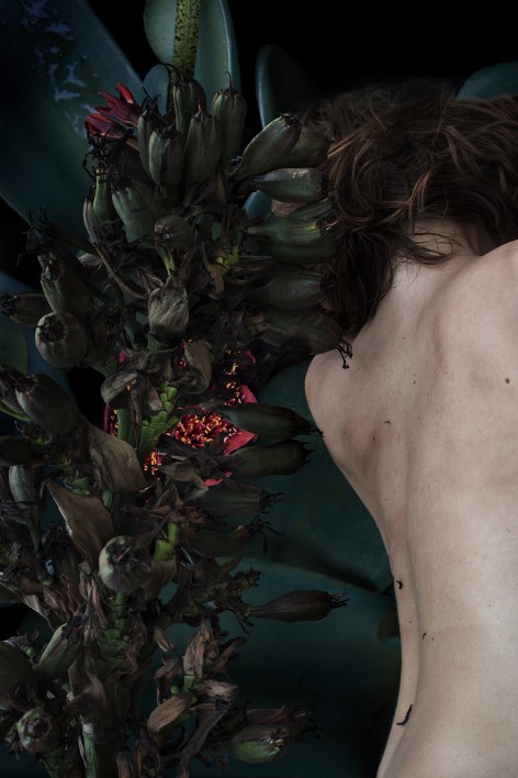 幻影天堂 · 热带深渊-2