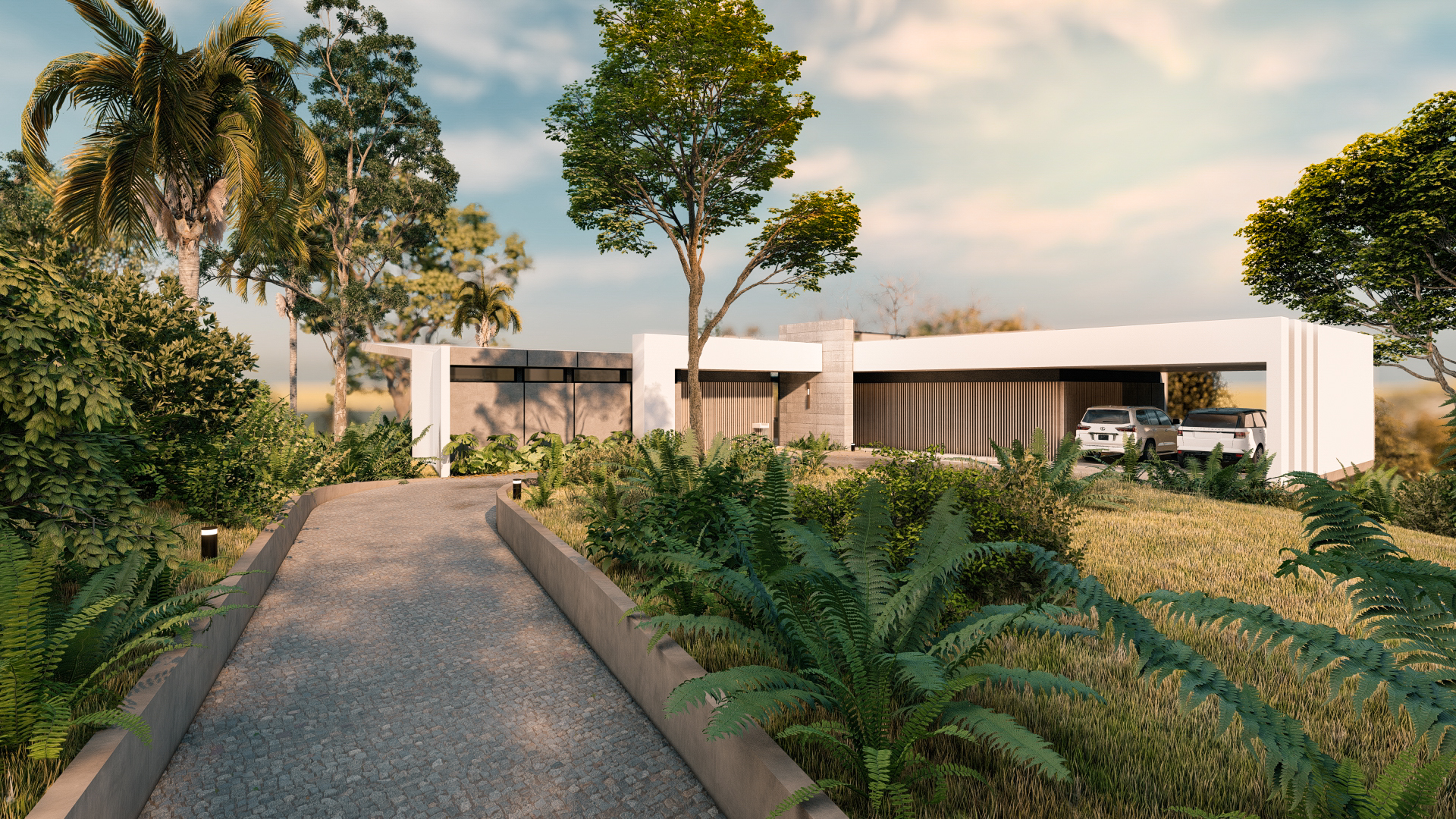 当地的本土的天然的原生的丨哥斯达黎加蓬塔雷纳斯-15