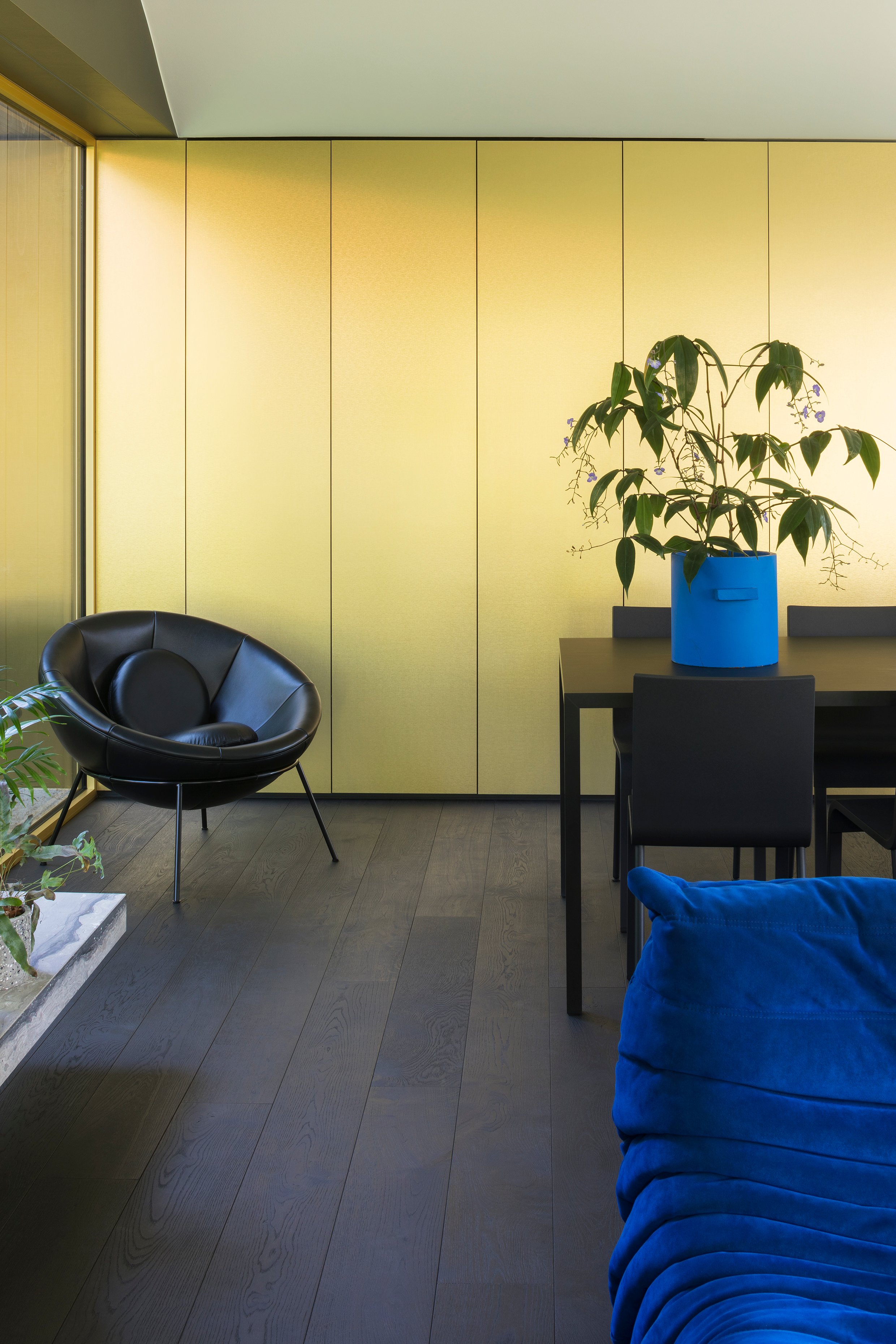 住在树林里丨比利时丨BASIL architecture-8