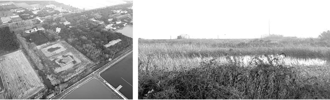 光明花博邨东风会客厅·水上会议中心丨中国上海丨同济大学建筑设计研究院（集团）有限公司原作设计工作室-11