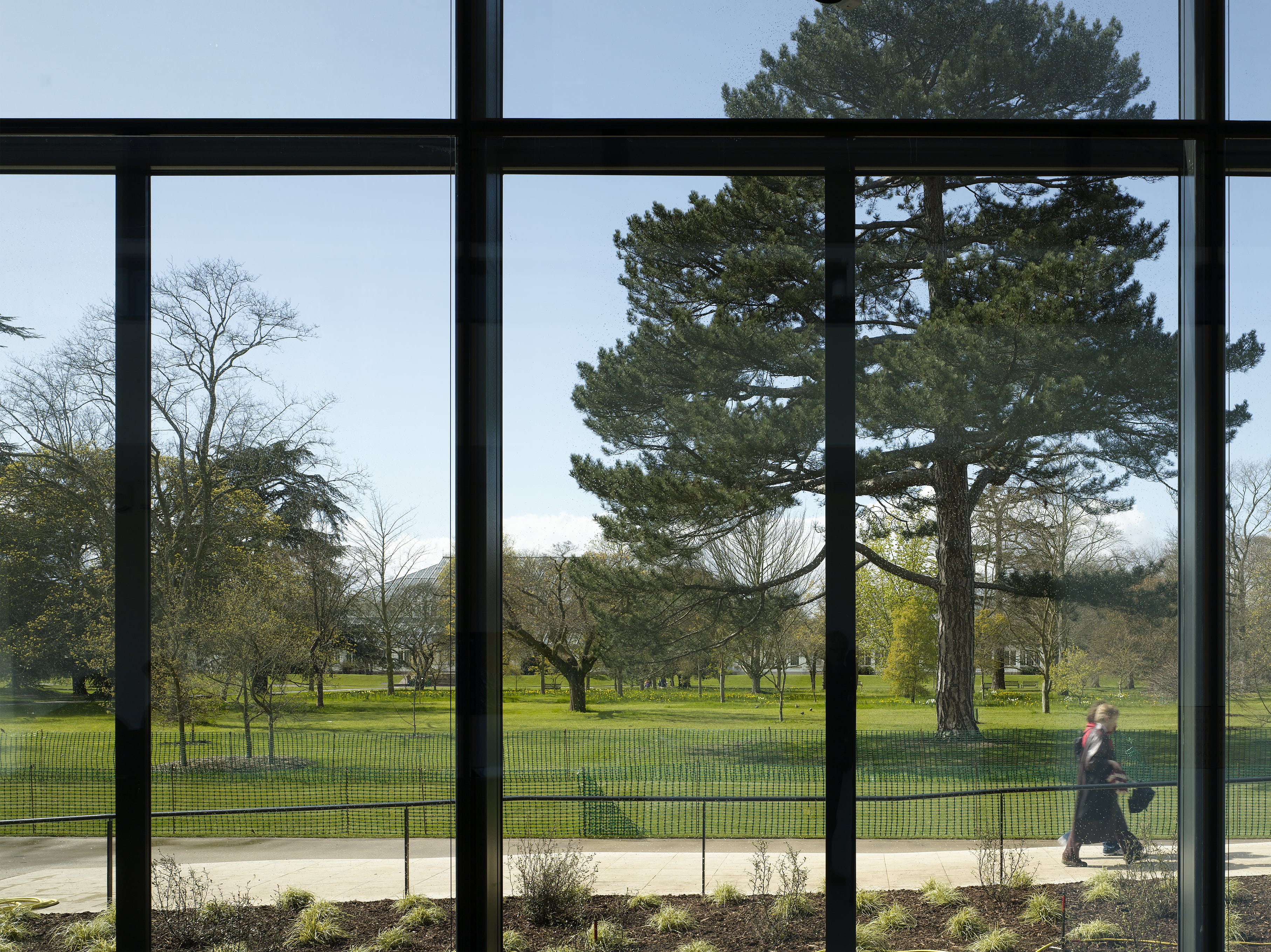 邱园植物艺术画廊(雪莉舍伍德美术馆)-8