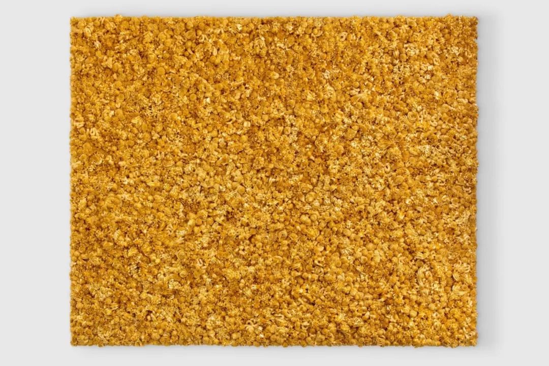 香港巴塞尔材质纹理艺术盛宴，邂逅建筑灵感-131