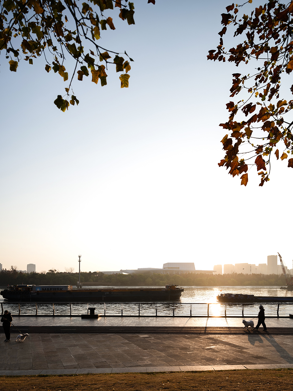 上海大歌剧院丨中国上海丨Snøhetta,华东建筑设计研究院有限公司等-49