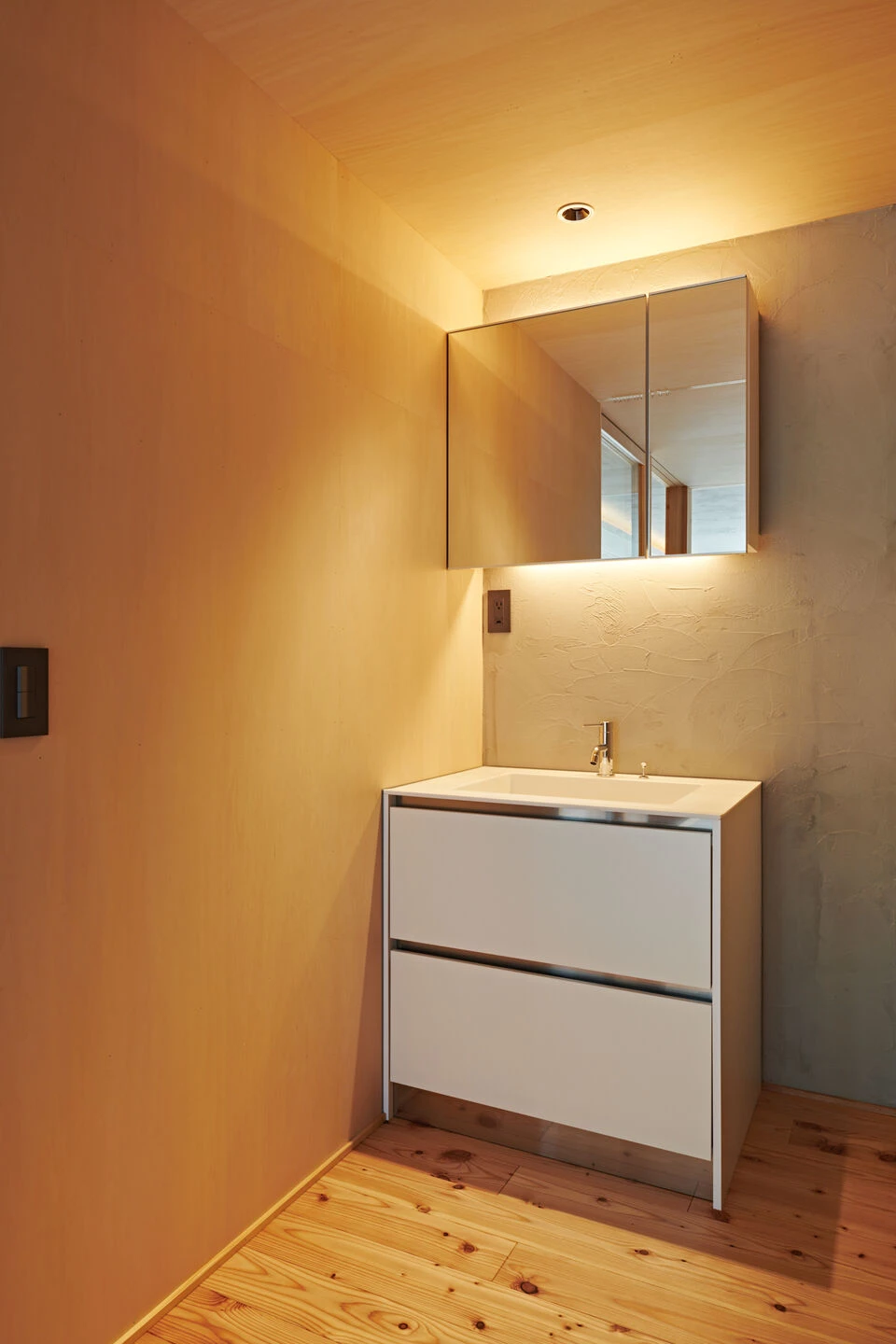 生命节点丨日本岩手丨NoMaDoS-54