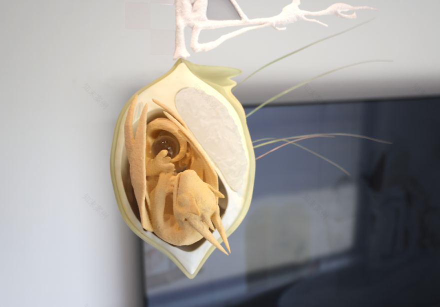 早C晚A|“邵安南:爬行咖啡”展览现场-12