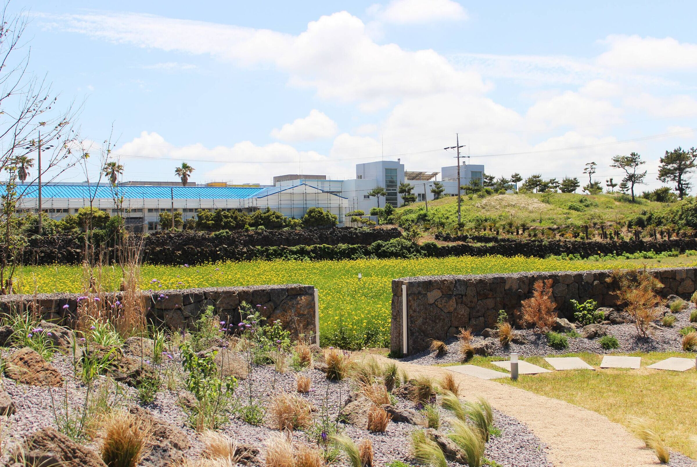 融入自然的极简餐厅设计丨韩国丨ATMOROUND-21