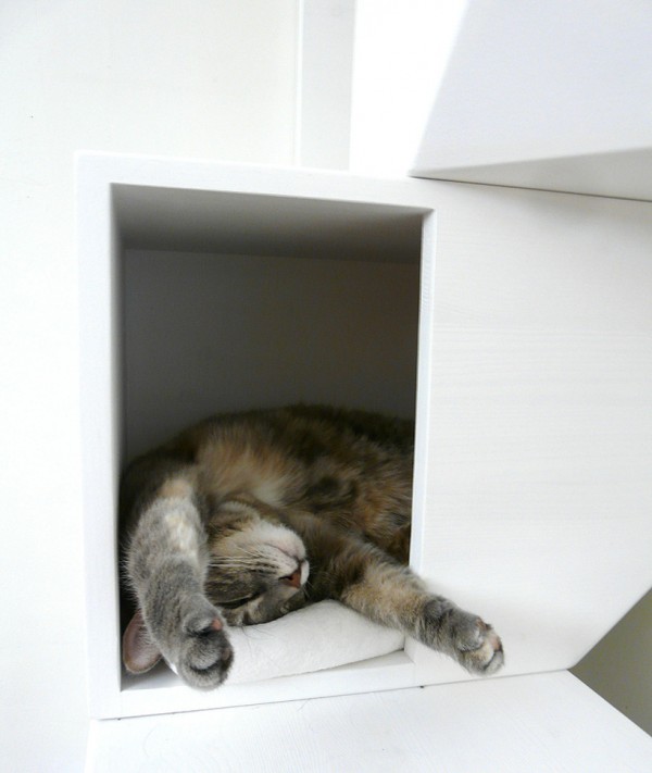 四层猫咪屋丨Mojorno-13