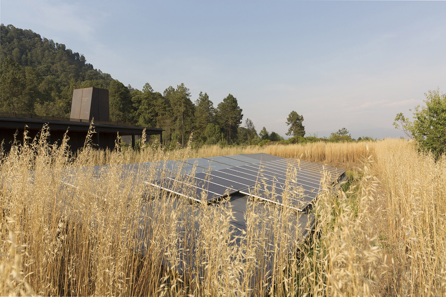 墨西哥雨水收集之家丨Robert Hutchison Architecture + JSa-31