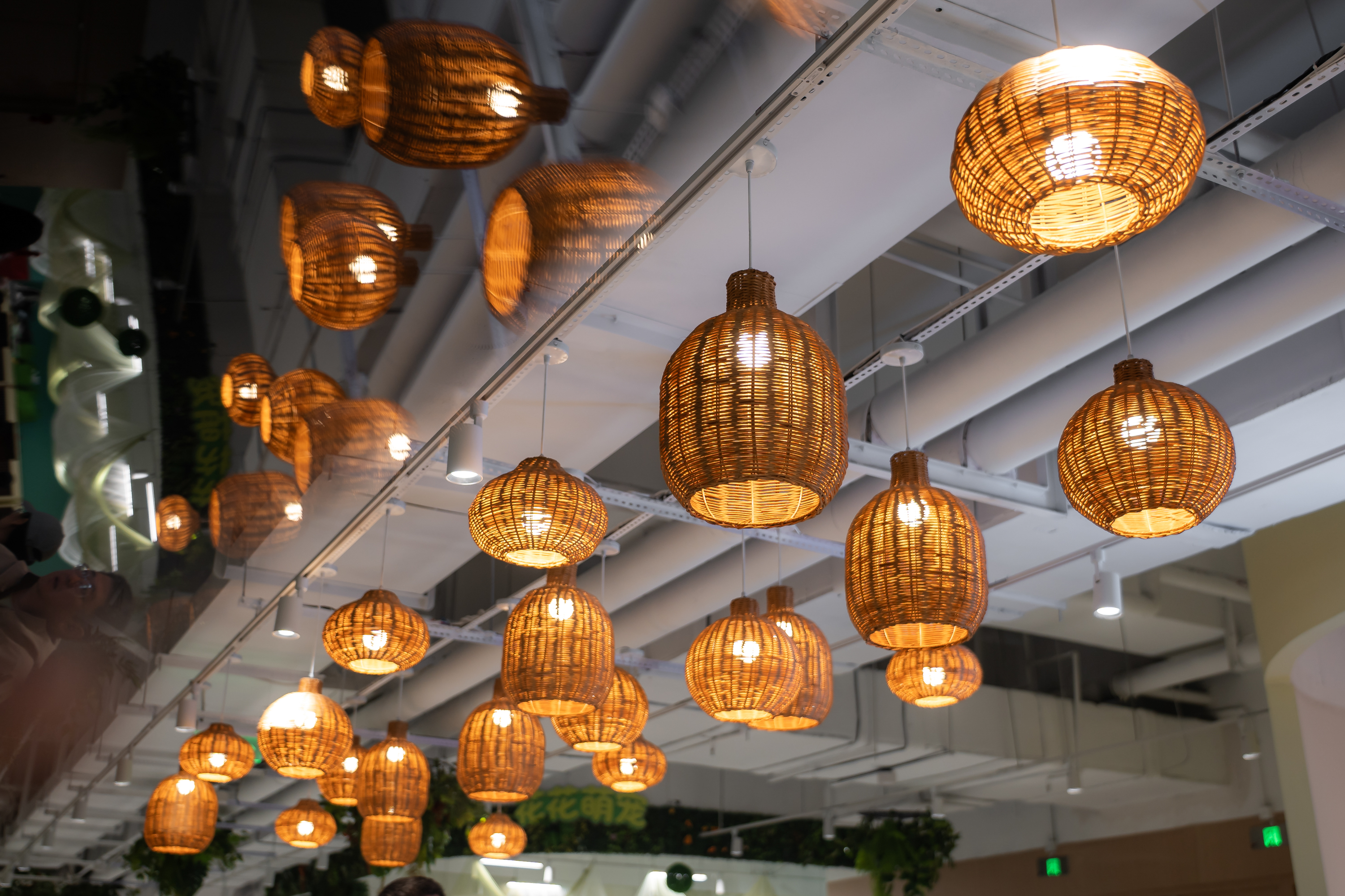 北京超极合生 迷失在花鸟鱼虫市场里的年轻人。-34