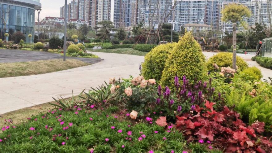 明日启幕丨我院新作麦岛公园焕新落成城海交融启幕三维共生空间-28