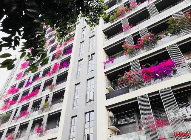 成都 30 层高楼变身“空中花园”,设计亮点一一解读-3