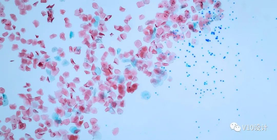 《云浮颗粒之舞》 | 塑料污染视觉化，模块化设计助力环保行动-50