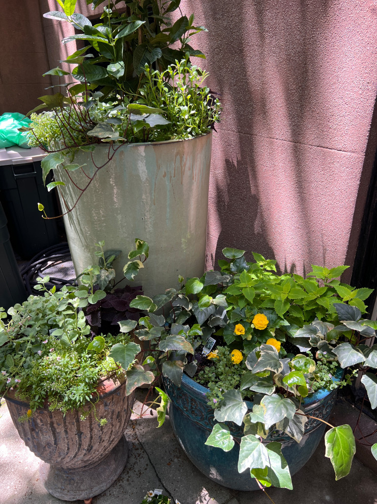 Brooklyn Heights reno-18