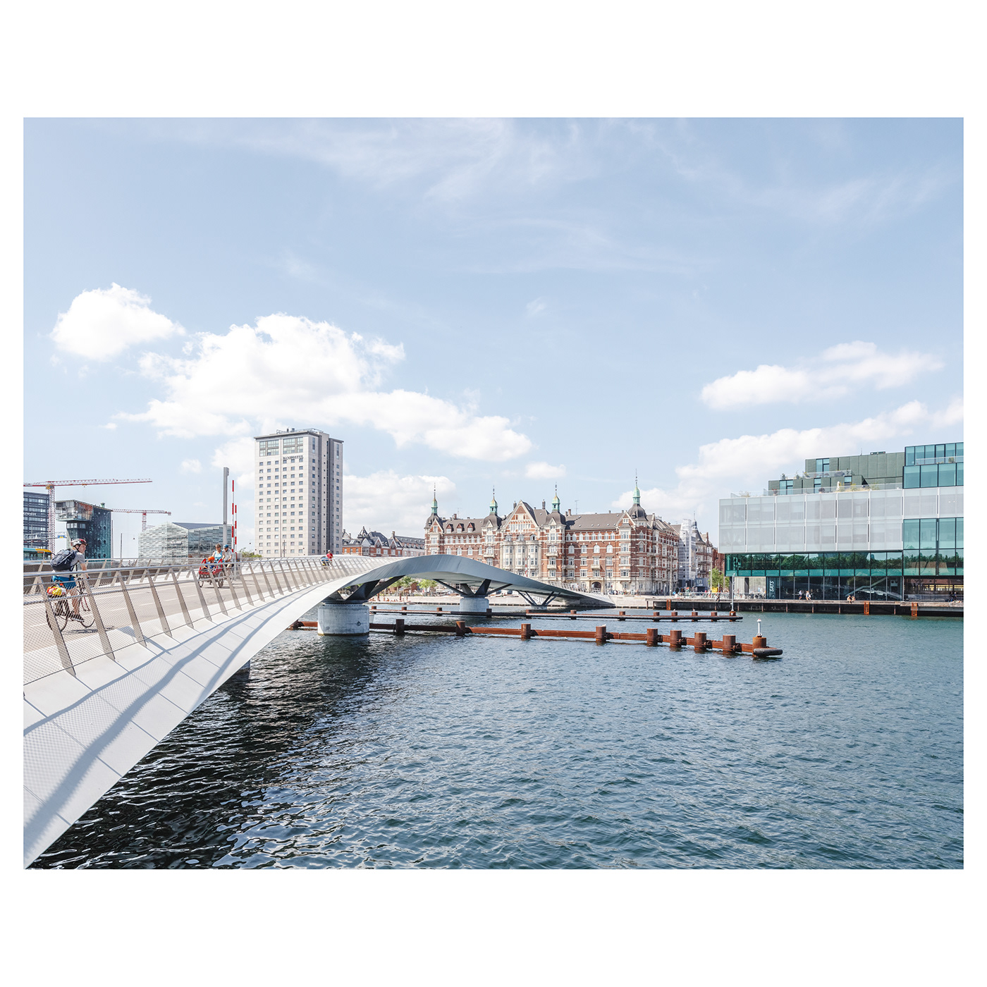 Anastasiya Gushchina丨桥丨L I L L E L A N G E B R O-5