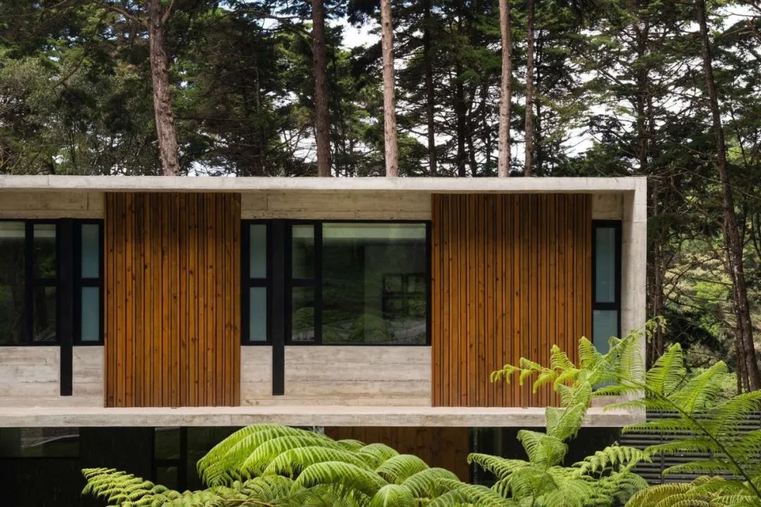 深山秘境 | Paz Arquitectura 的建筑奇迹-41