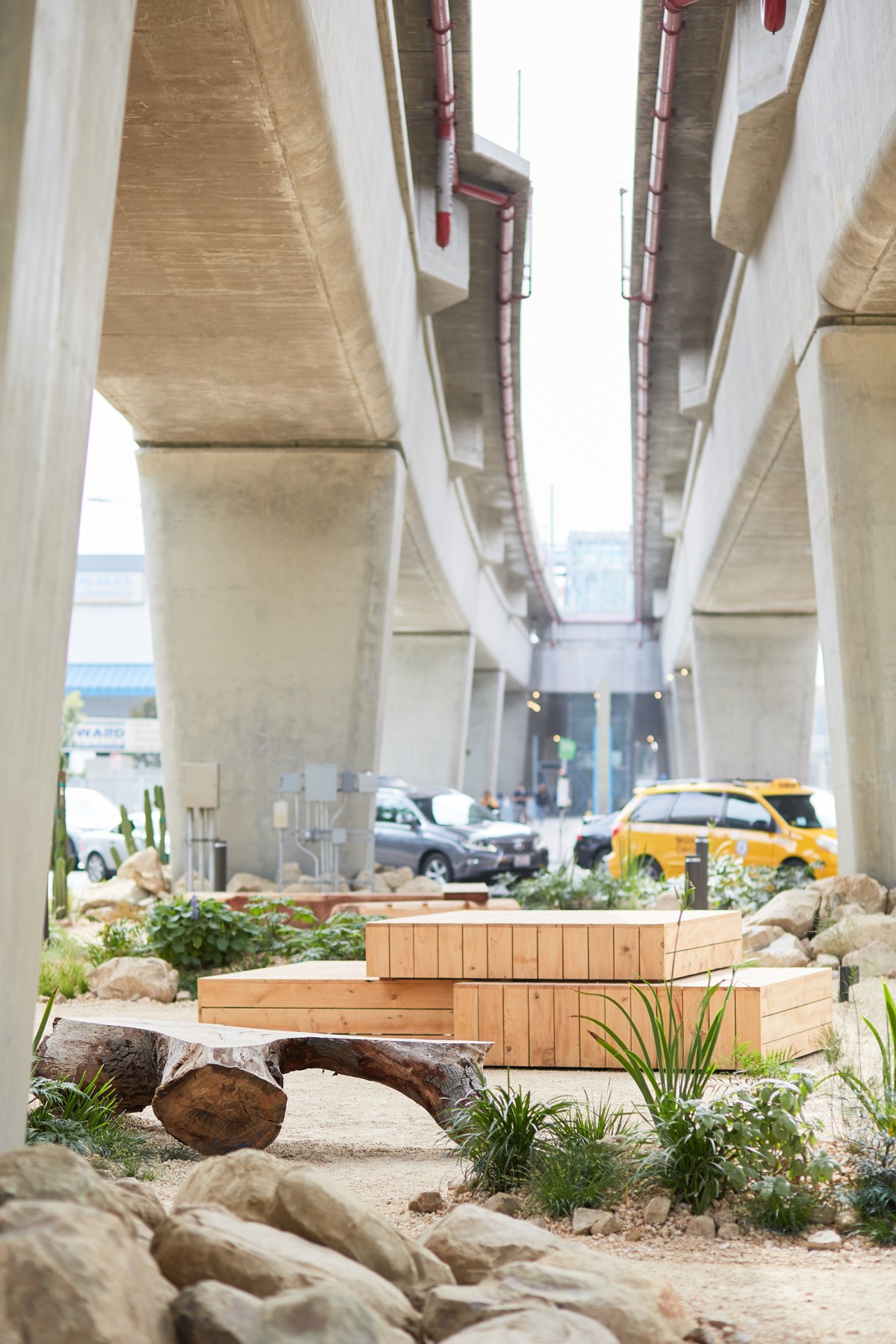 高架桥下的公共空间(Terremoto)丨美国华盛顿-36