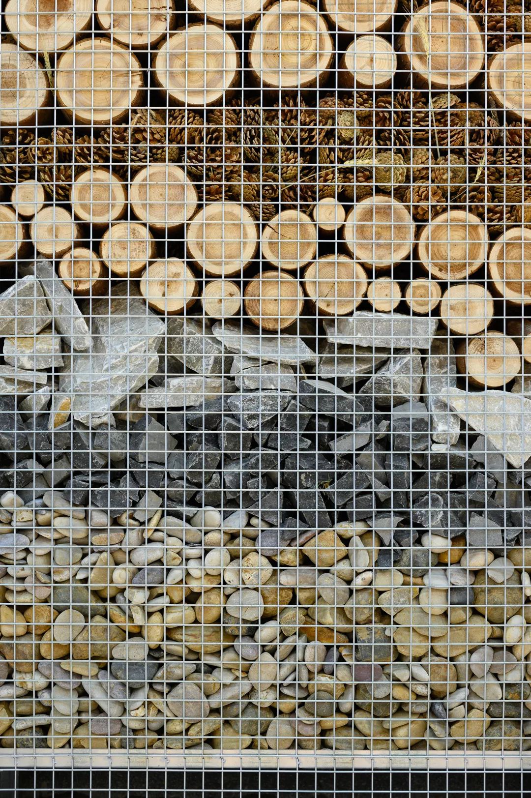 永年菜场的"城市乡野"更新-121