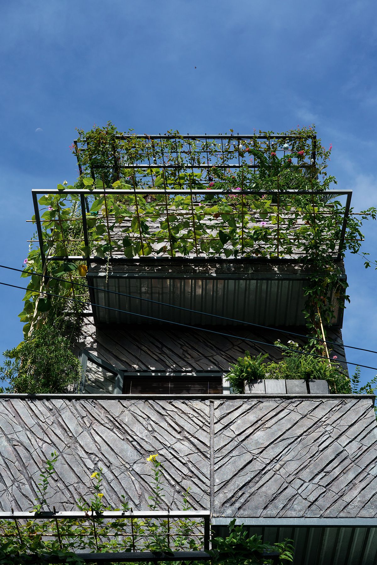 The Falls House - Không gian gợi cảm xúc từ sự kết hợp vật liệu, mang hơi thở thiên nhiên trong lành | Akitephile-18