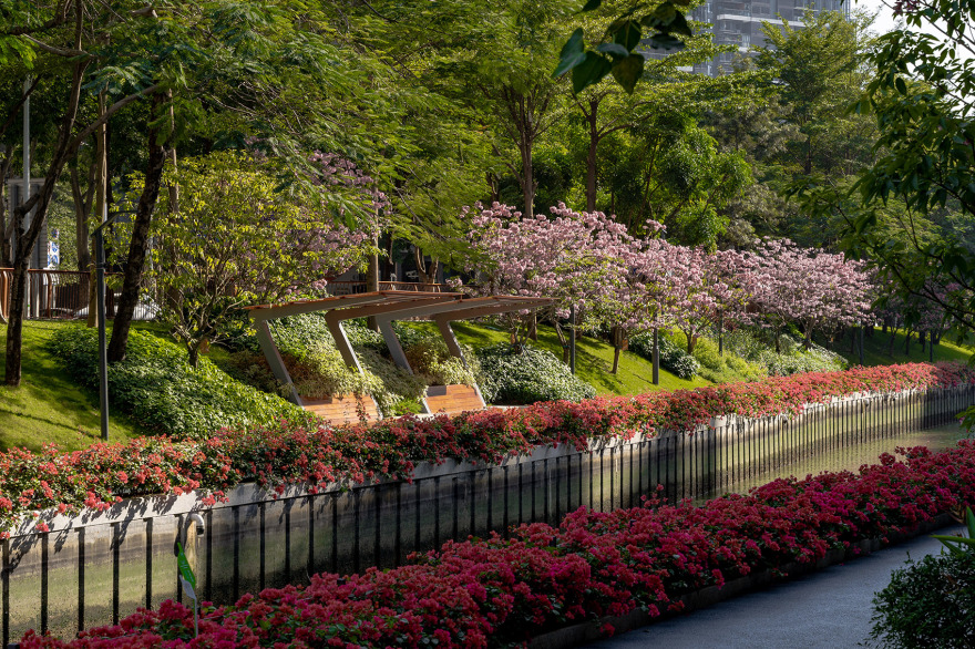 深圳南山后海中心河公园丨中国深圳丨深圳翰博设计股份有限公司-134