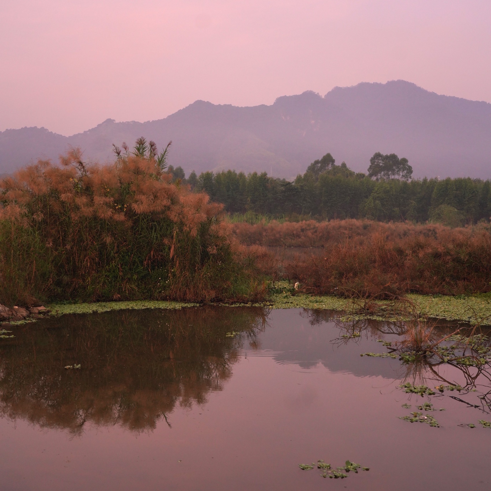 桂头镇湿地公园（桂头镇街文化公园）丨中国韶关丨有限设计工作室-145
