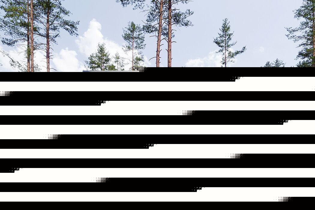 俄罗斯 Repino 别墅丨Kerimov Architects-5