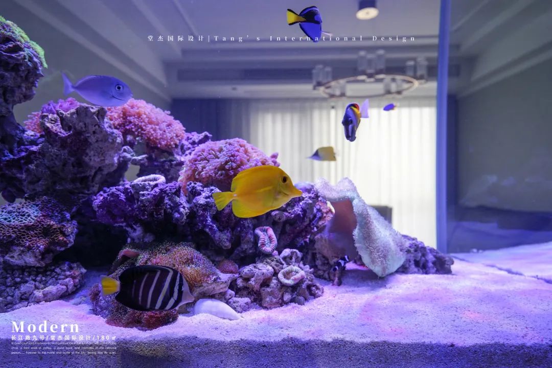 南京海底世界私宅设计丨中国南京丨堂杰国际设计-3