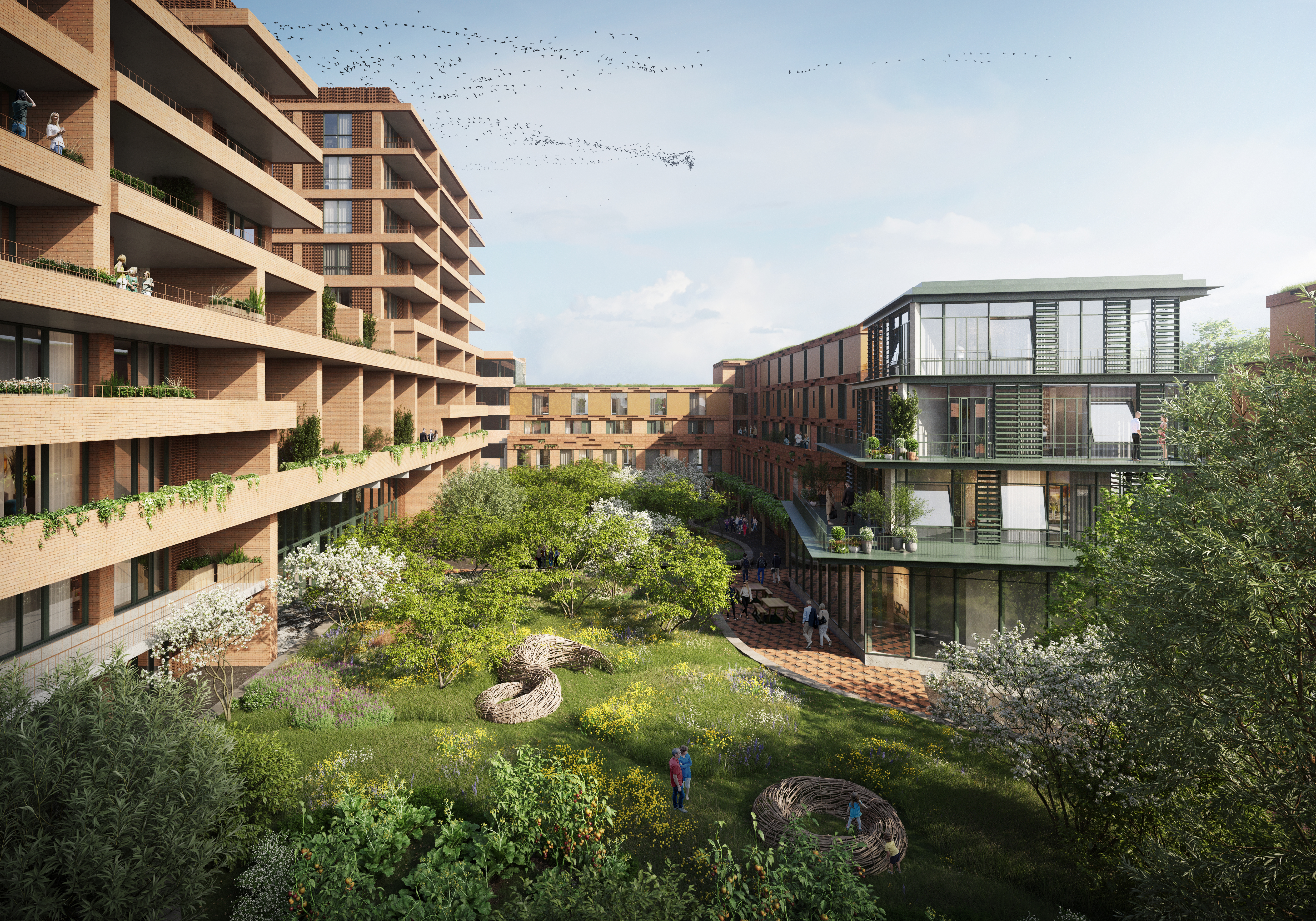 科厄·鹿特丹丨荷兰鹿特丹-10