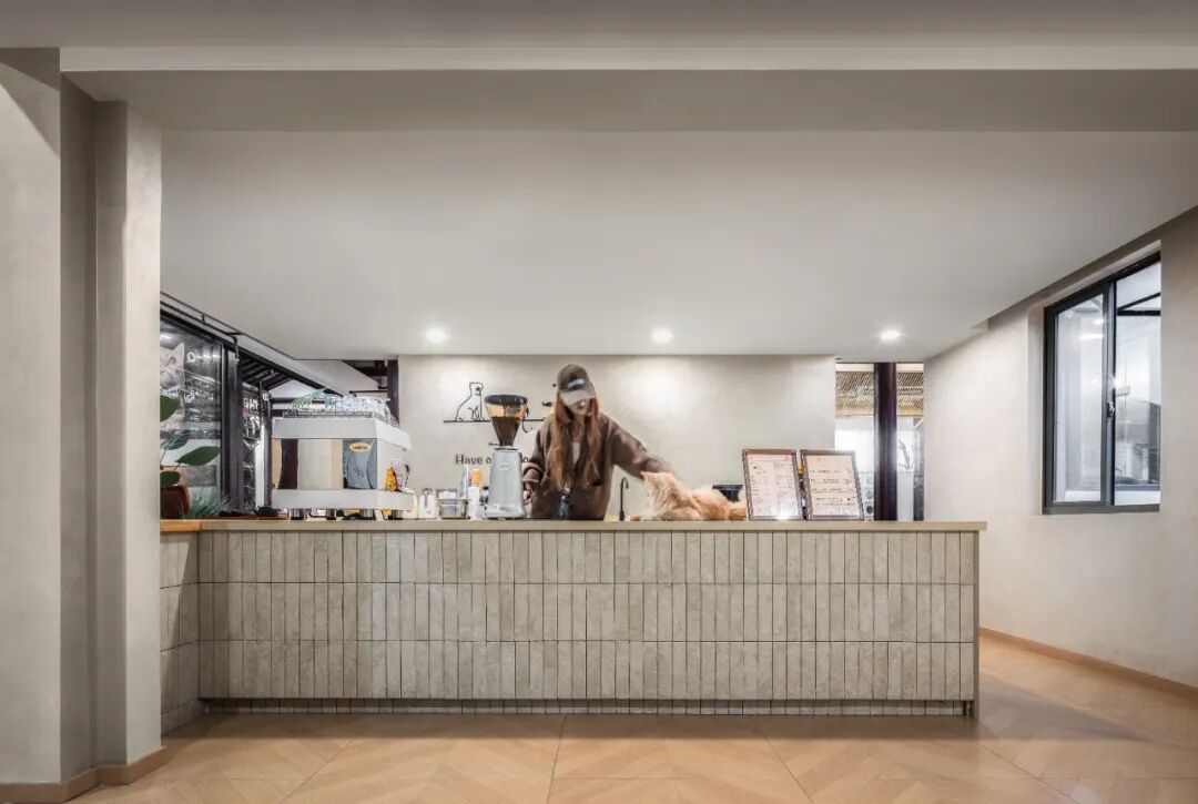 平江老街的萌宠空间-26