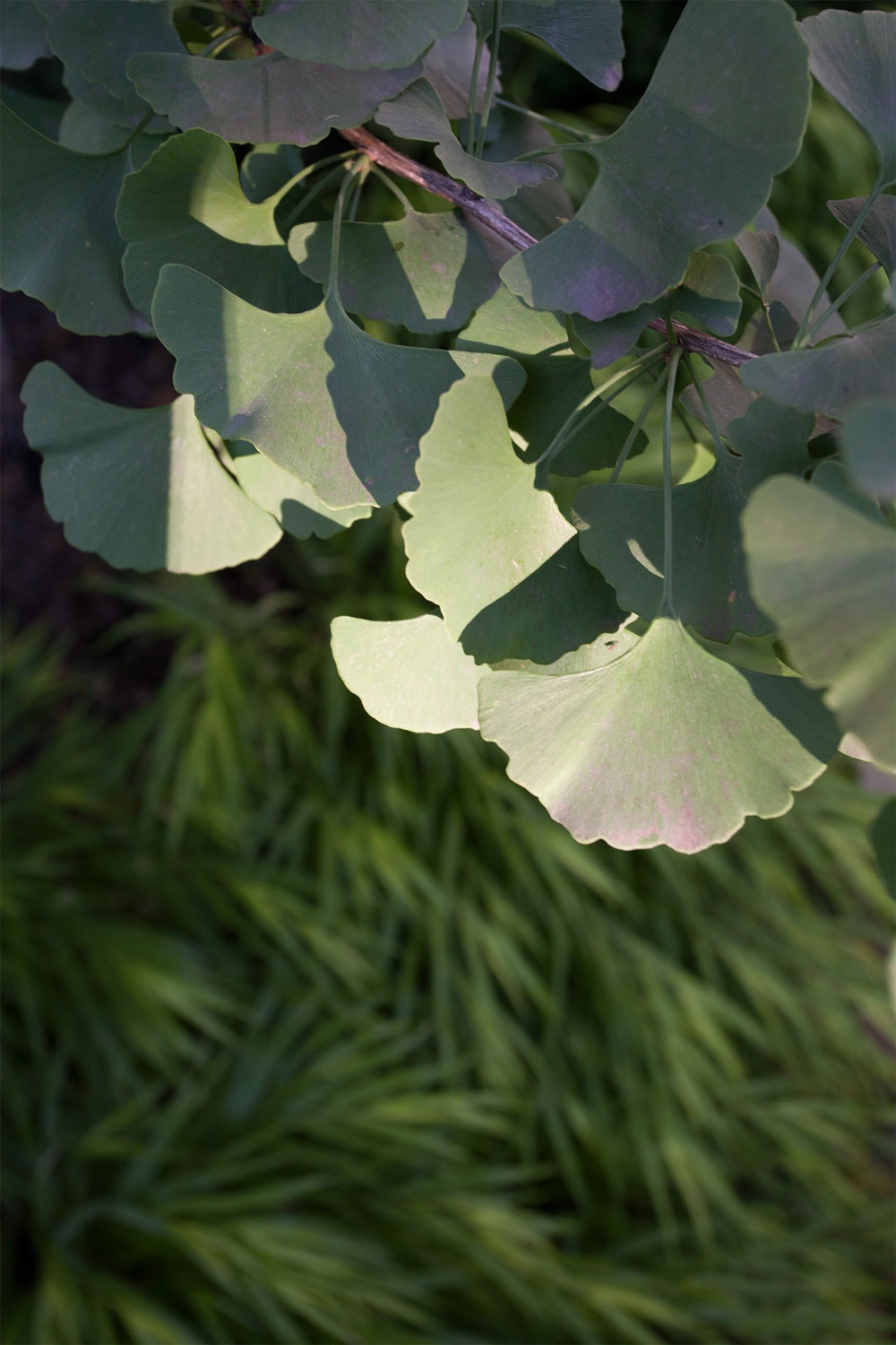 丨美国芝加哥-21