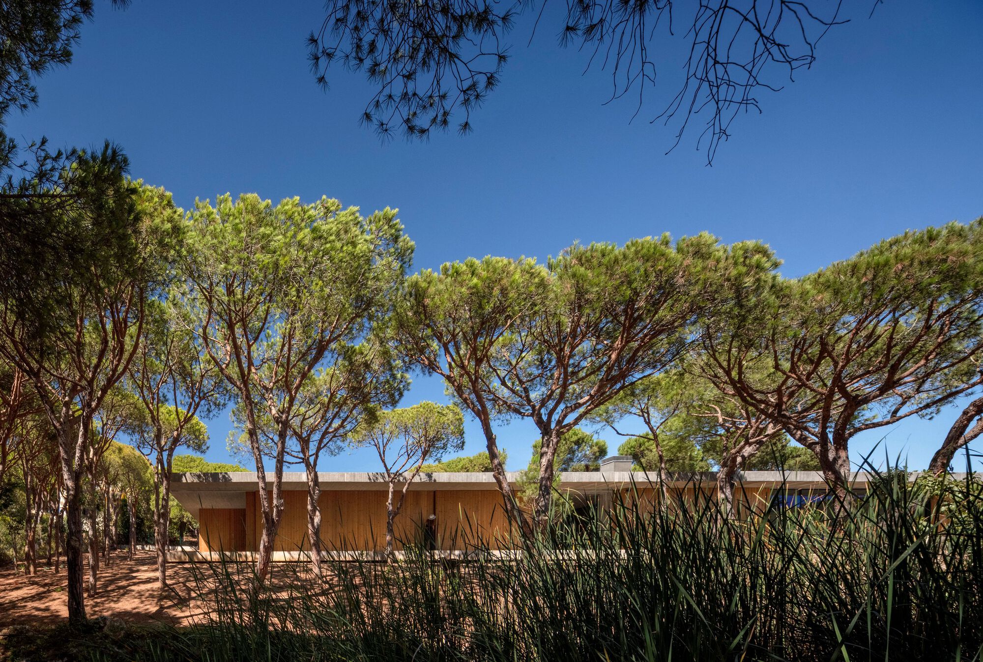 普拉亚韦尔德的房子丨葡萄牙丨Atelier Central Arquitectos-41