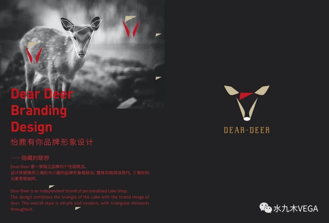 VEGA Space And Branding Design-86