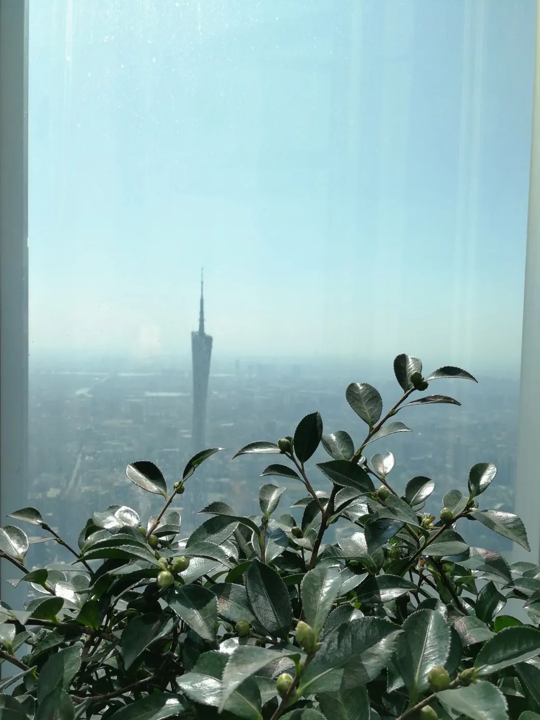 广州东塔(周大福金融中心)丨中国广州丨泰国P Landscape,普邦设计-70