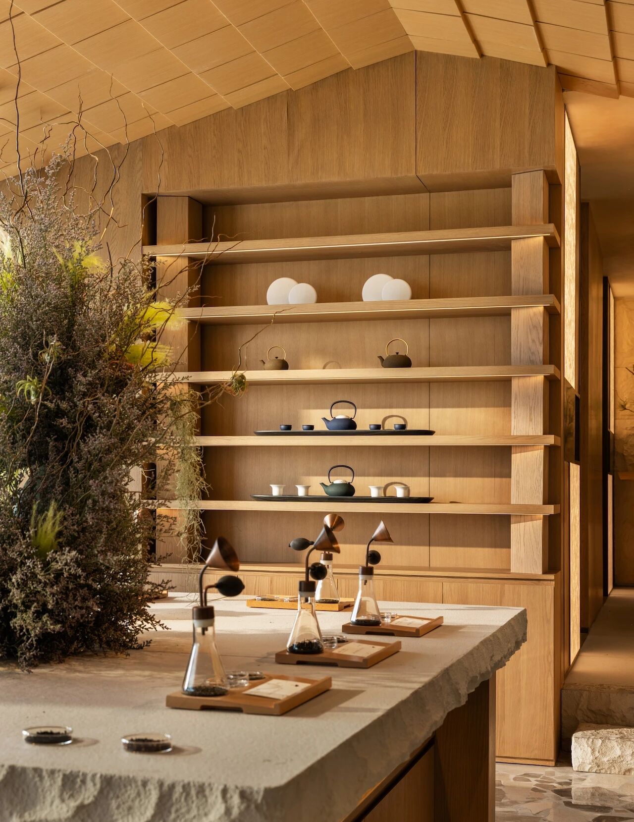 ZENS T 企鹅岛旗舰丨中国深圳丨DPD递加设计-11