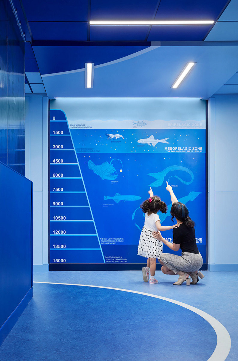 HGA设计丨国家儿童基金会Elsie&Marvin Dekelboum家庭基金会分子成像中心,Children’s National Elsie & Marvin Dekelboum Family Foundation Molecular Imaging Center-12