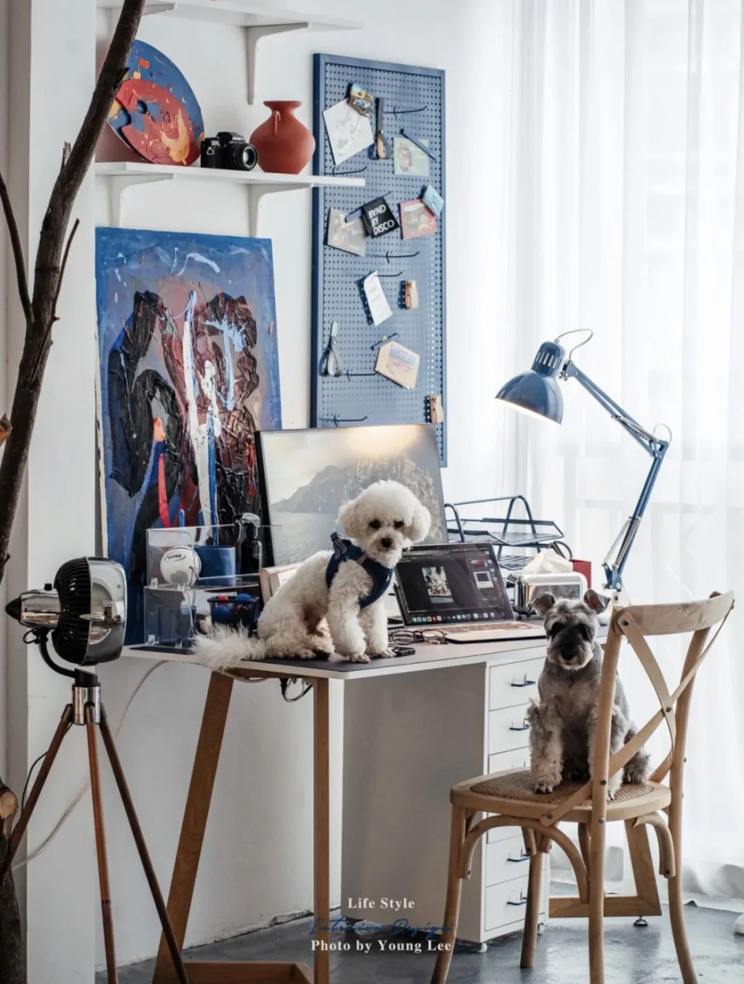 独居生活大公开 · 三大博主潮家设计-29