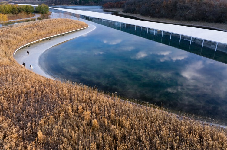 丨中国日照丨junya ishigami + associates-60