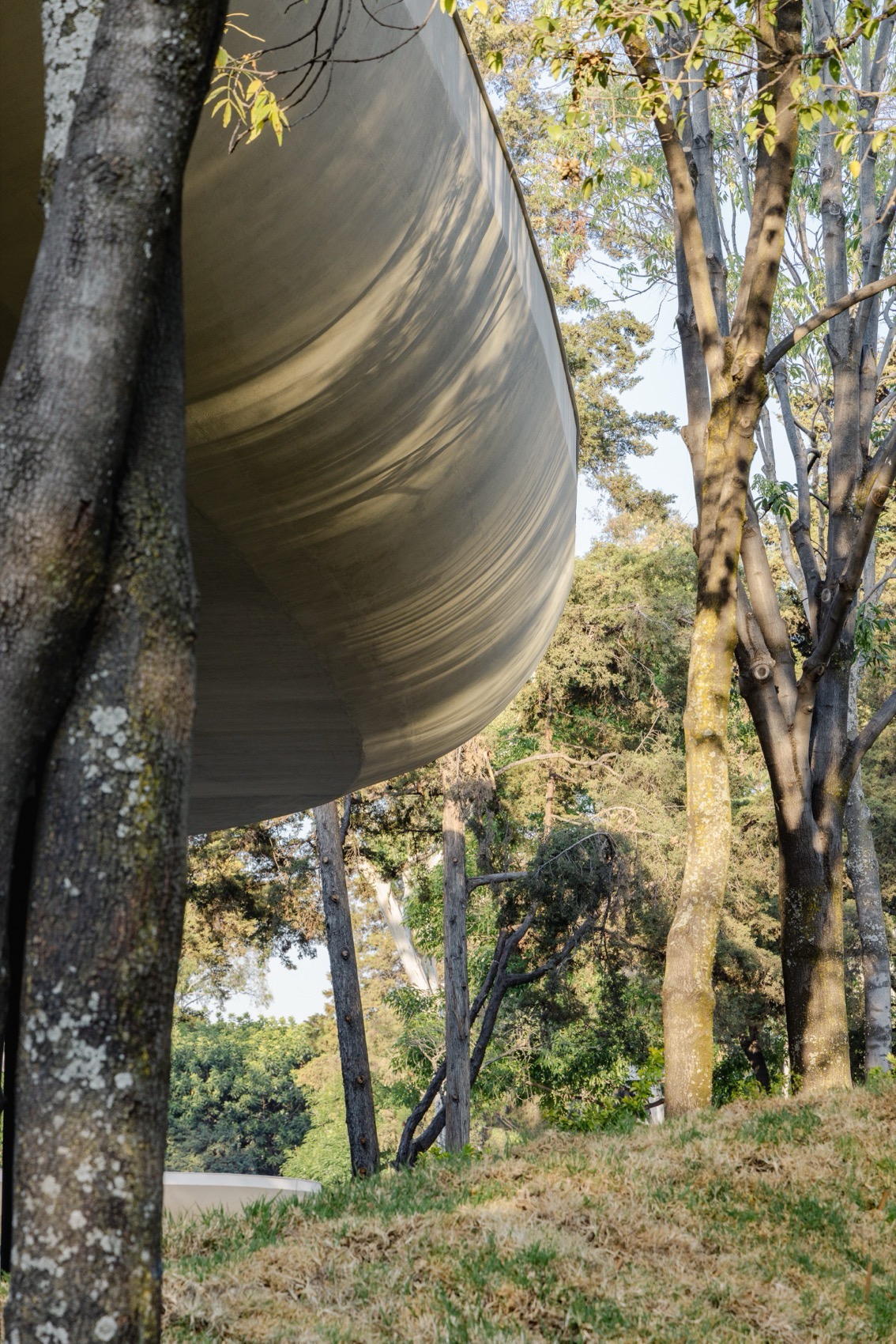 风景花园,墨西哥城丨墨西哥墨西哥城丨Michan Architecture,Parabase等多个团队-39