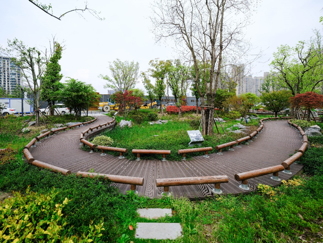 张家港东横河绿廊丨中国苏州丨WEME 唯美景观-22