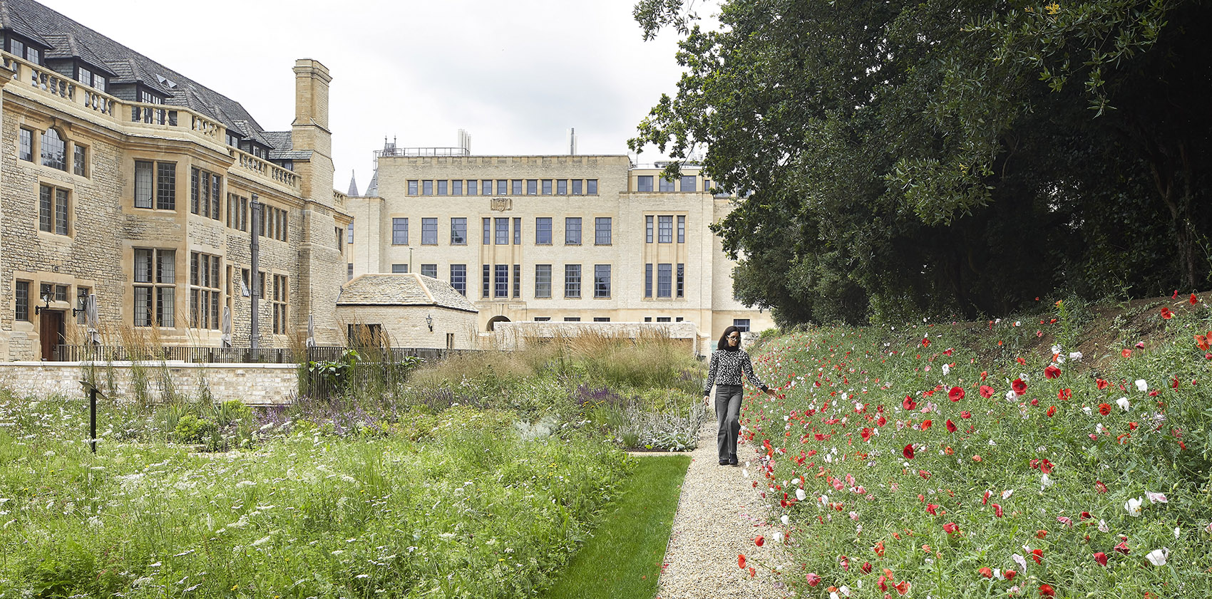 Rhodes基金会总部改造丨英国牛津丨Stanton Williams-105