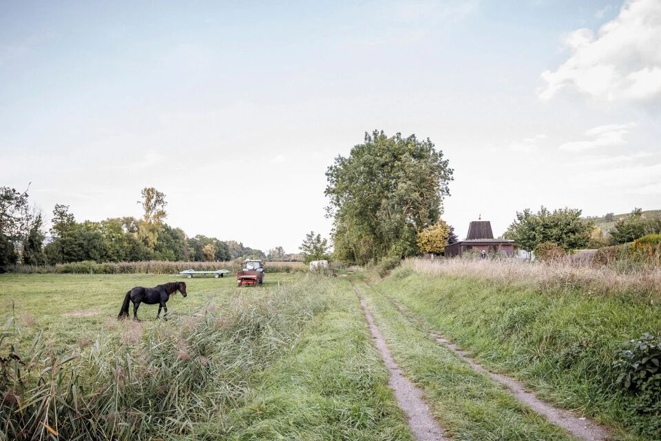 法国施拉赫贝尔海姆新市政厅-5