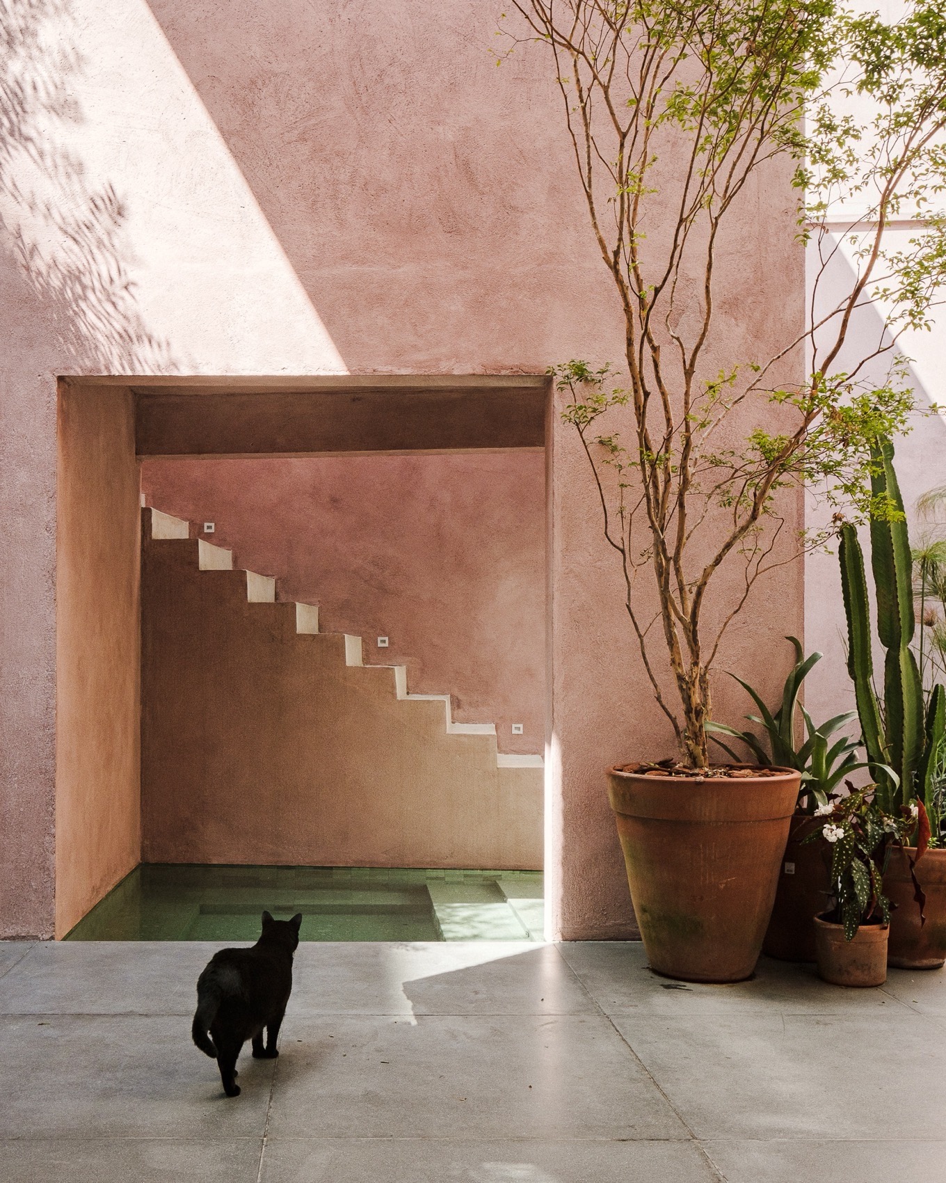 Vila Mariana住宅翻新扩建|巴西|entre escalas-19