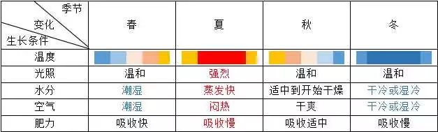 四季花开不间断的阳台打造指南-21