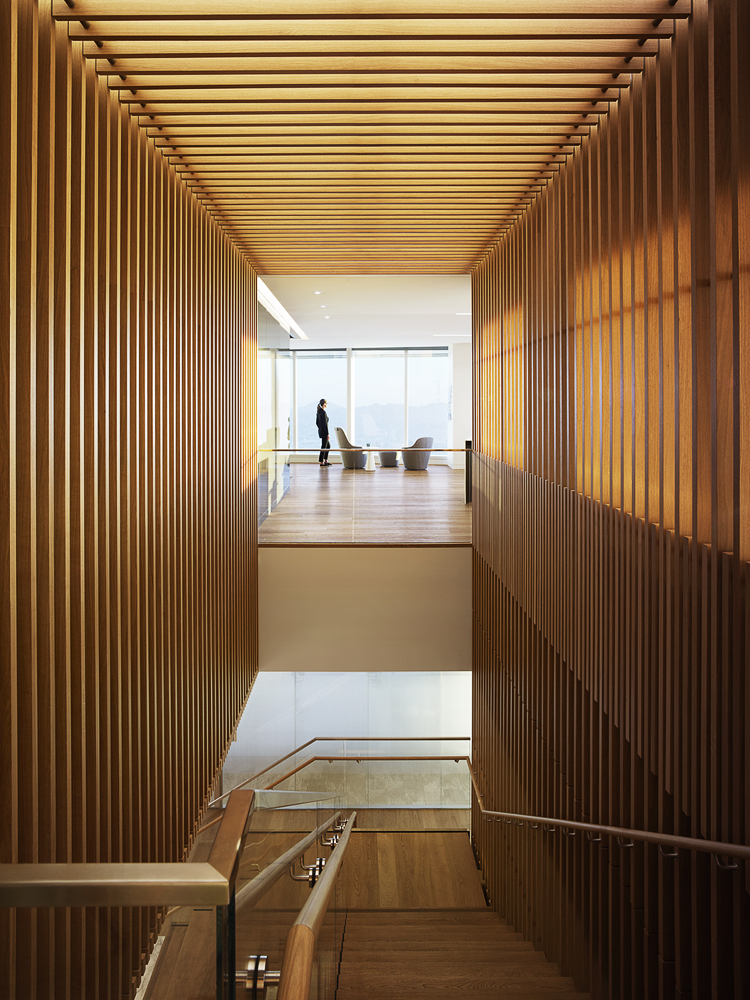 空中全景的优雅投资空间丨中国金山丨Mark Cavagnero Associates-16