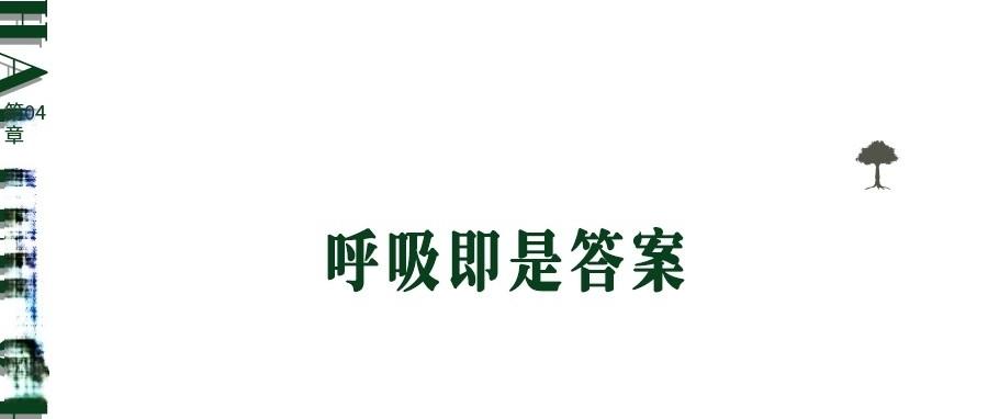 第六季度假庄园丨中国黄山丨S+P空间的诗学设计事务所-29